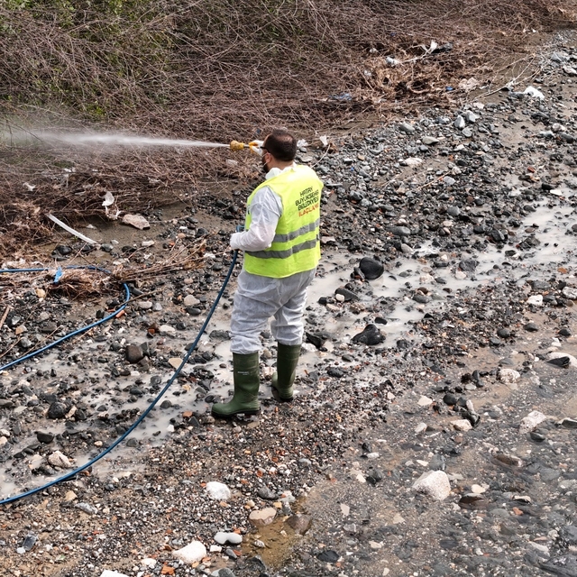 Hatay Büyükşehir Belediyesi haşereyle mücadele çalışmalarına devam ediyor