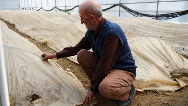 76 yaşındaki Bayburtlu üretici ata tohumları için zirai don nöbetinde