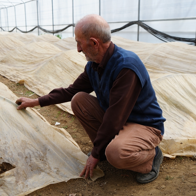 76 yaşındaki Bayburtlu üretici ata tohumları için zirai don nöbetinde