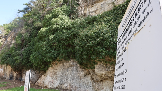 4 bin yıllık sarmaşığın gölgesinde baharı karşıladılar
Dev sarmaşık bahar ile birlikte ziyaretçilerini ağırlamaya başladı