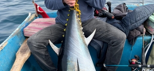 Hobi olarak olta balıkçılığı yapan öğretmen 60 kiloluk orkinos yakaladı