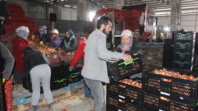 Pazarın en ucuzu soğan Amasya'dan Avrupa'ya gönderiliyor
Soğan tezgahlarda 'Soğan giren eve doktor girmez' sloganı ile satılıyor