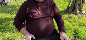 Zeytin bahçesinde çalışırken kalbine yenildi