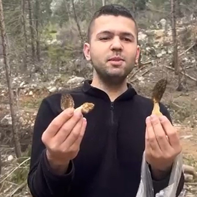 Feke'de kuzu göbeği bereketi