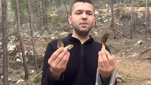 Feke'de kuzu göbeği bereketi