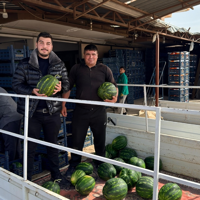Antalya'da sezonun ilk karpuz hasadı yapıldı
Karpuzun kilogramı ortalama 40...