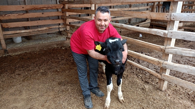 Çal'da Mert için yürekler seferber oldu