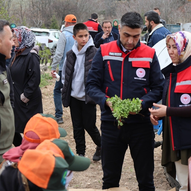 Dinar'da 'Kekik Yetiştiriciliği Projesi' devam ediyor