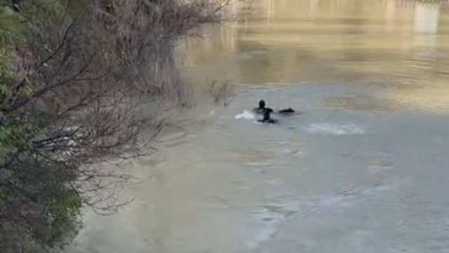 Munzur Nehri'nde kadın cesedi bulundu