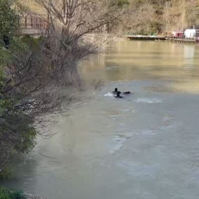 Munzur Nehri'nde kadın cesedi bulundu