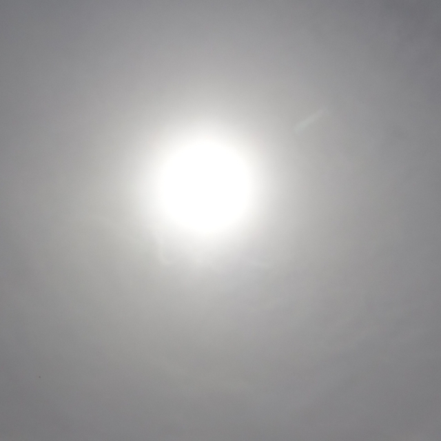 Adana'da yaz sıcağı etkisini gösteriyor