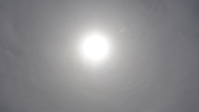 Adana'da yaz sıcağı etkisini gösteriyor