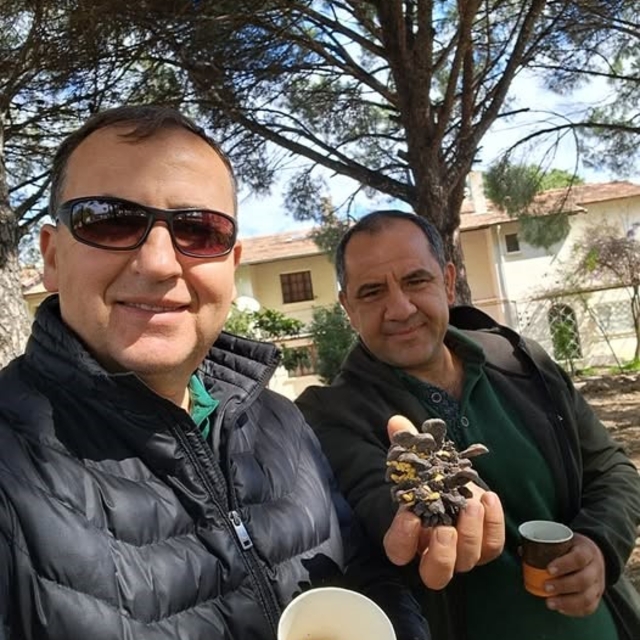 Türkiye çam balı üretiminde dünya birincisi