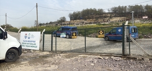Yalova'da hayvan ölümleri iddialarına soruşturma