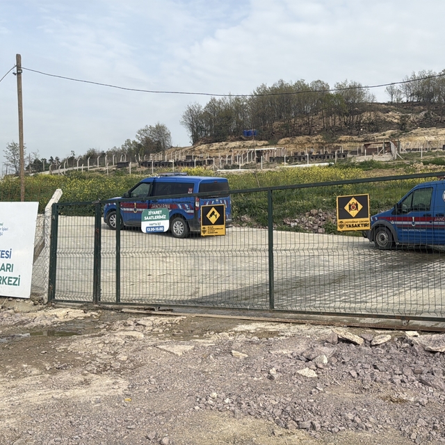 Yalova'da hayvan ölümleri iddialarına soruşturma