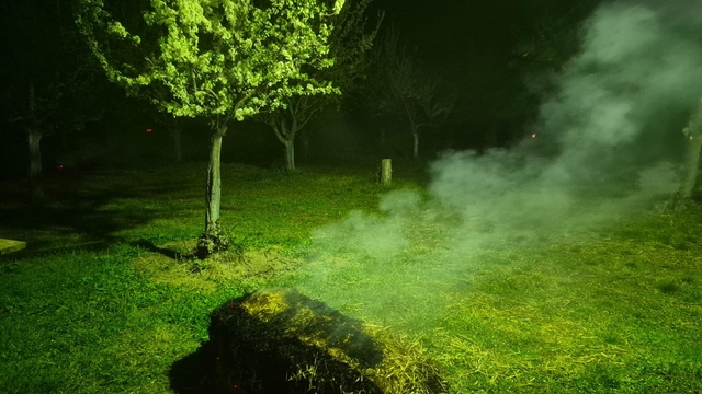 Iğdır'da çiftçiler meyve ağaçlarını dumanlama yöntemi ile soğuktan korudu