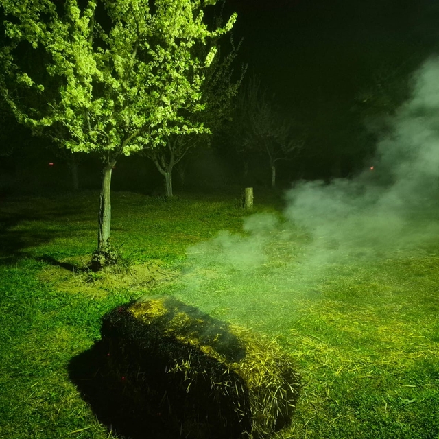 Iğdır'da çiftçiler meyve ağaçlarını dumanlama yöntemi ile soğuktan korudu