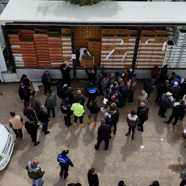 Şahinbey'de çiftçilere 5 milyon sertifikalı fide desteği verildi