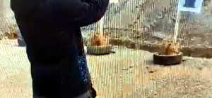 Kahramanmaraş’taki okul saldırganının poligonda atış yaptığı görüntüler ortaya çıktı