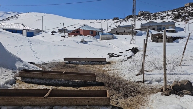 Nisanda kara gömülen mahalle: Kışkılı'ya bahar gelmedi