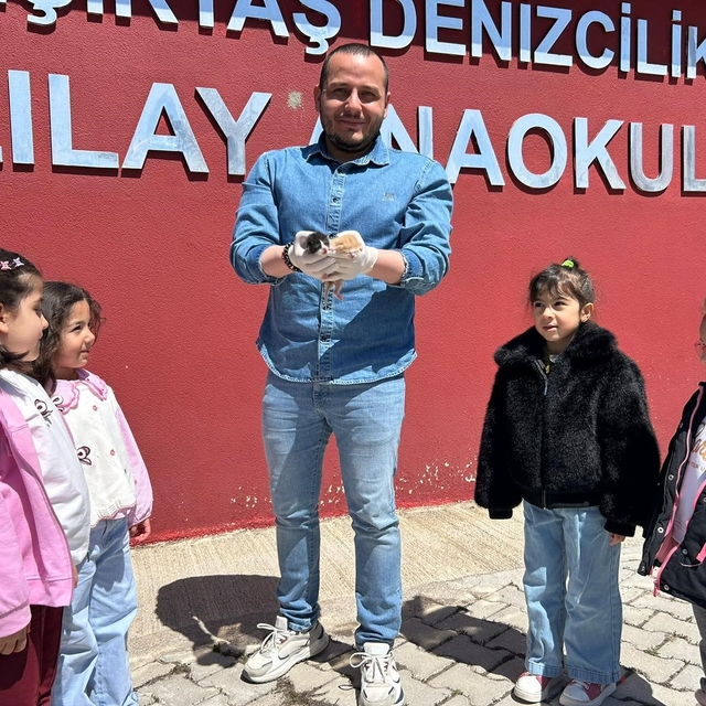 Anaokulunun misafiri 'Fındık' 6 yavru dünyaya getirdi
Van'da anne kedi doğu...