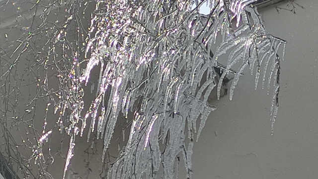 Hava sıcaklığı eksi 10'a düştü, ağaç dalları dondu
Ağaçlardaki kristalize güzellik görenleri mest etti