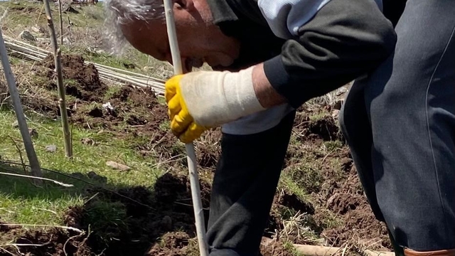 Ağrı'da vatandaşlar imece usulü fidan dikerek geleceğe nefes oluyor