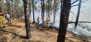 Mersin'de orman yangınlarına karşı tatbikat yapıldı