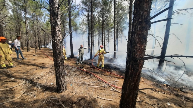 Mersin'de orman yangınlarına karşı tatbikat yapıldı