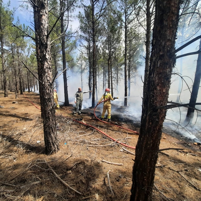 Mersin'de orman yangınlarına karşı tatbikat yapıldı
