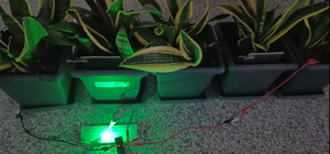 Bitkilerden elektrik üretildi; Bolu ve Ankara'dan ekip biyopil geliştirdi