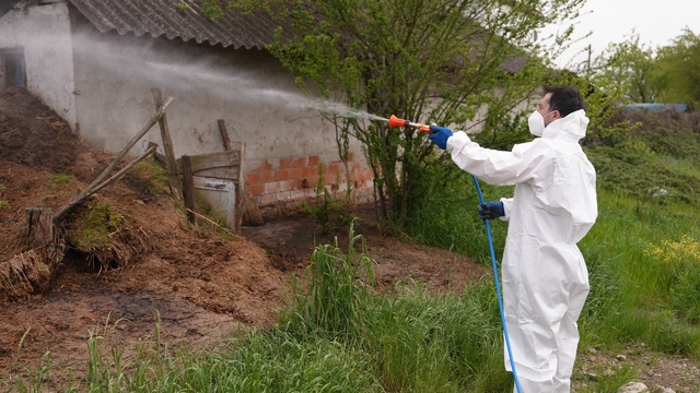 Düzce'de daha uçmadan bitirmek için mücadele başladı
Larva ve uçkun ile mücadele sürüyor
Asya kaplan sivrisineğine dikkat