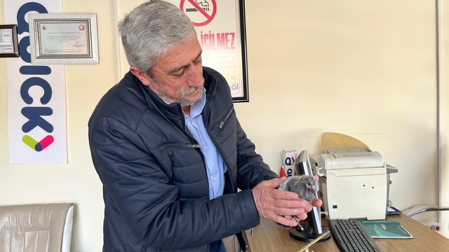 Bünyan'da çatıdan düşen kuş, yuvasına kavuşturuldu