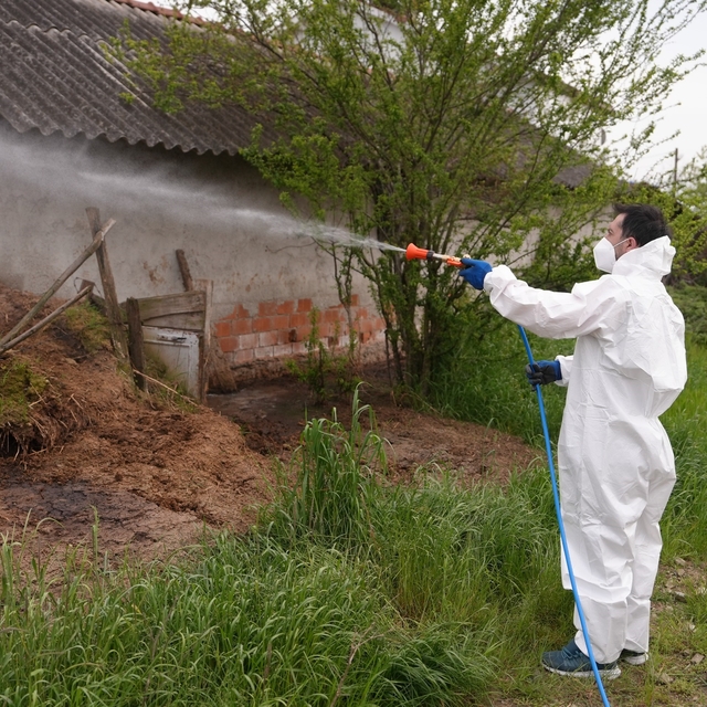 Düzce'de daha uçmadan bitirmek için mücadele başladı
Larva ve uçkun ile müc...