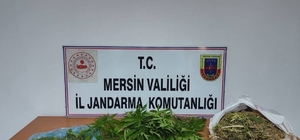 Uyuşturucu taciri yakalanıp tutuklandı