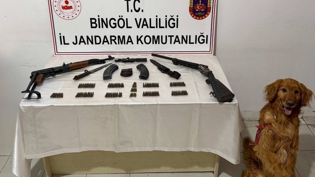Bingöl'de silah ve mühimmat ele geçirildi