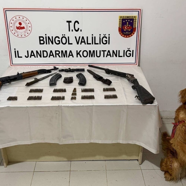 Bingöl'de silah ve mühimmat ele geçirildi