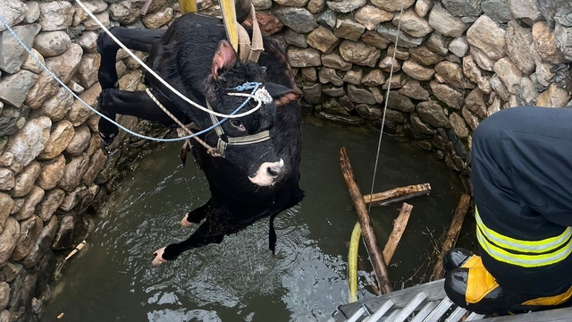 Su kuyusuna düşen inek itfaiye ekiplerince kurtarıldı