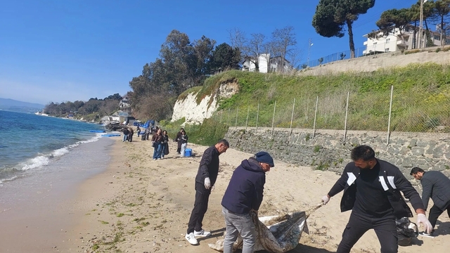Sinop'ta sahil temizliği