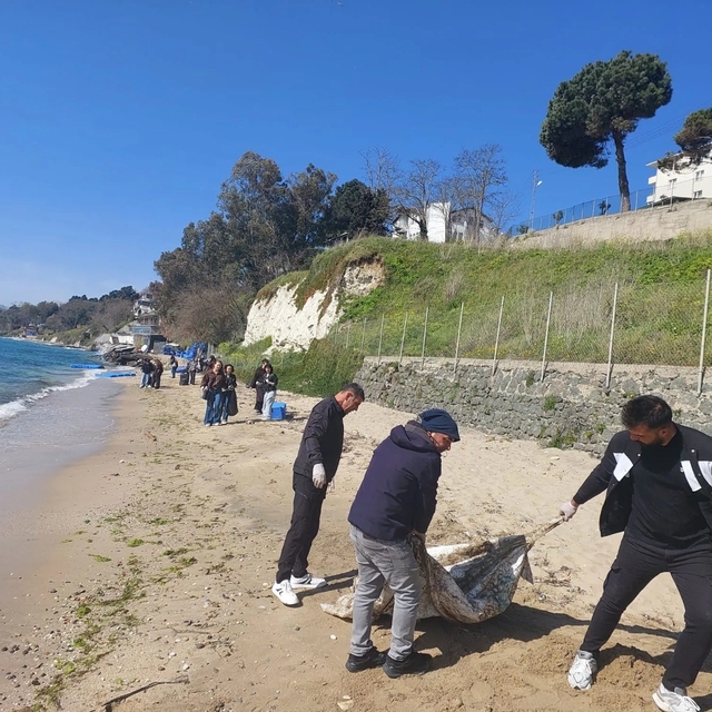 Sinop'ta sahil temizliği