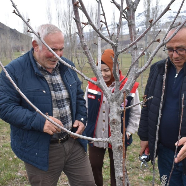 Bayburt'ta üreticilere aşılama ve budama eğitimi verildi