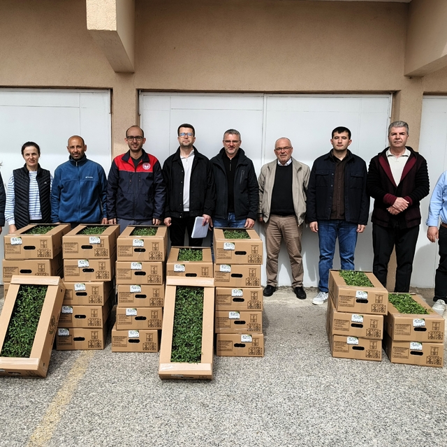 Kırklareli'nde üreticilere domates fidesi dağıtıldı