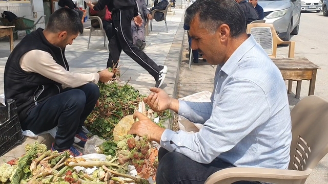 Elazığ'da bahar otları tezgahlarda yerini aldı
