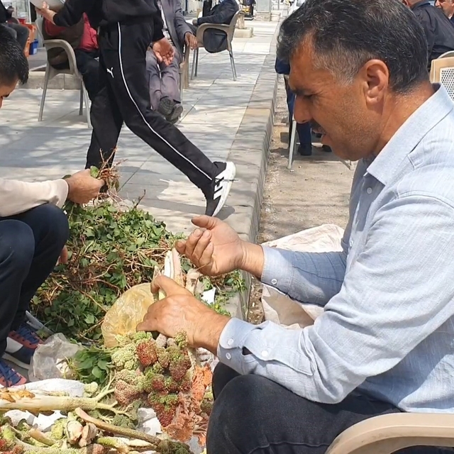 Elazığ'da bahar otları tezgahlarda yerini aldı