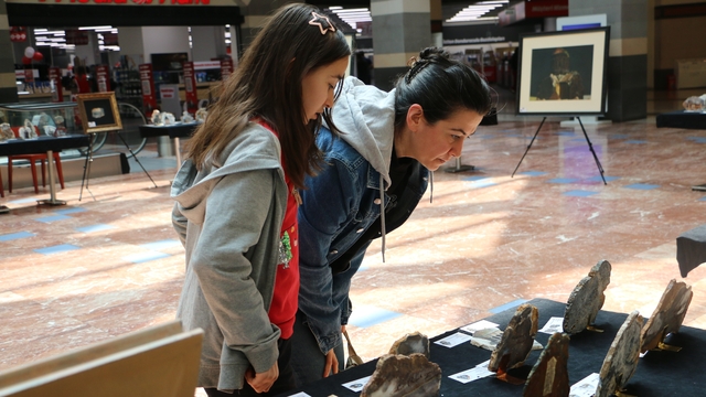 "İl İl Türkiye Sergisi" Diyarbakır'da sanatseverlerle buluştu