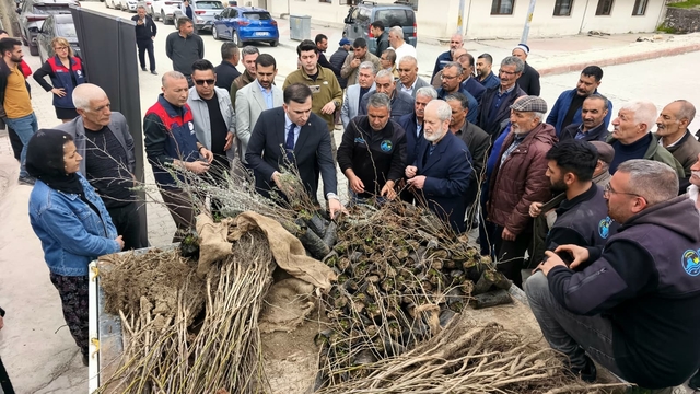 Çemişgezek'te vatandaşlara ücretsiz fidan dağıtıldı