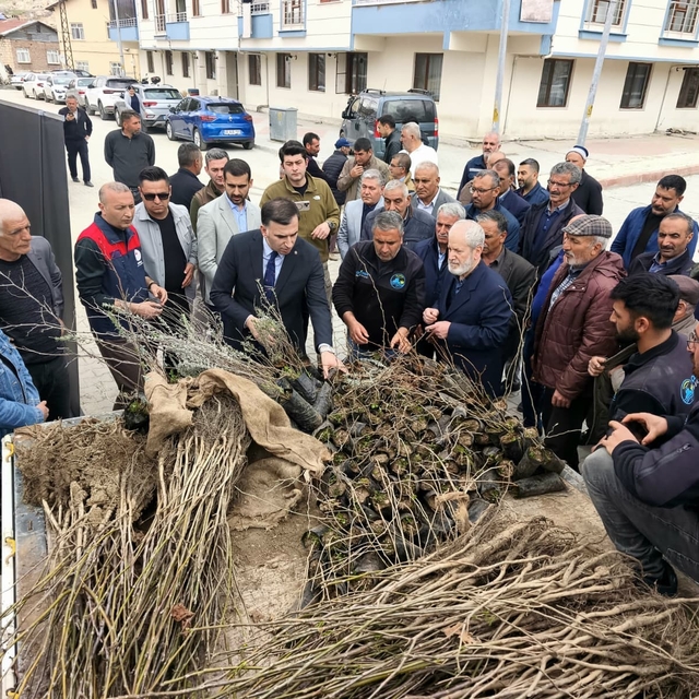 Çemişgezek'te vatandaşlara ücretsiz fidan dağıtıldı
