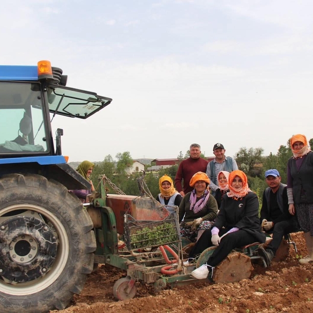 Poşusunu takan Kaymakam Kuran üreticilerle birlikte kekik dikti