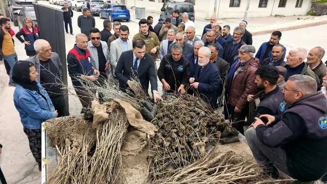 Çemişgezek'te vatandaşlara 800 fidan dağıtıldı