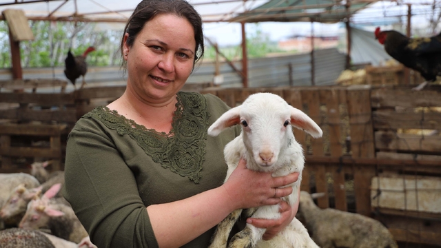 Babasının hediye ettiği kuzuyla çiftlik kurdu